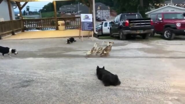 HD порно 111702