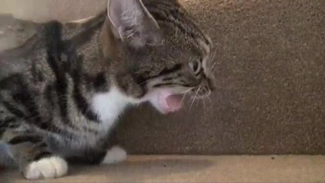 HD порно 163716