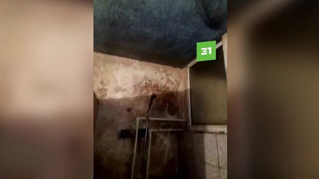 HD порно 173237