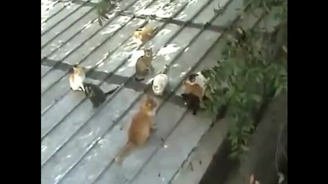 HD порно 157567