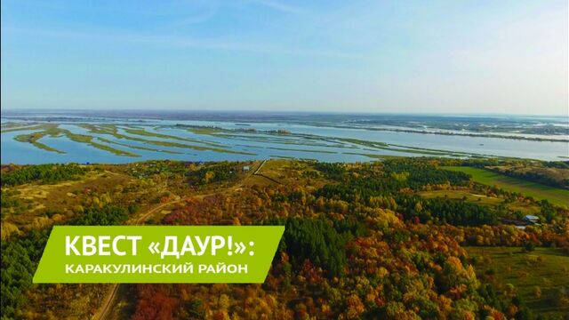 HD порно 113049