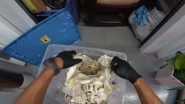 HD порно 171300