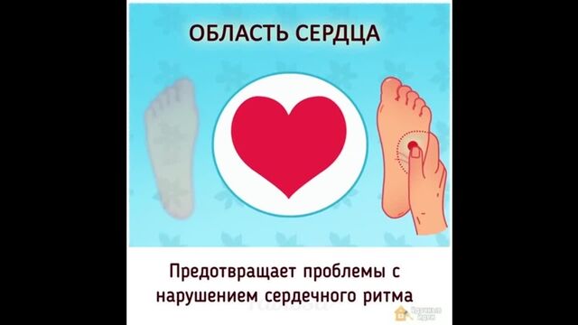 HD порно 189952