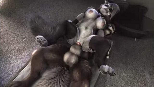 HD порно 236061