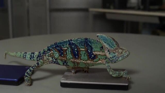 HD порно 189172