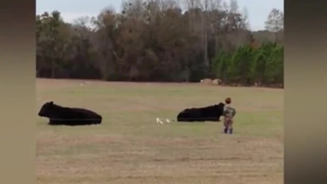 HD порно 129520