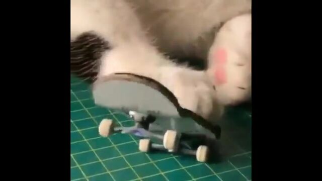 HD порно 159314