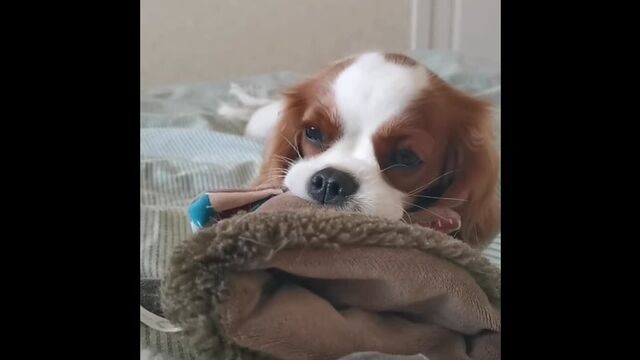 HD порно 187566