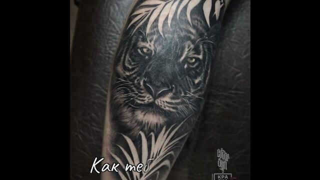 HD порно 182842