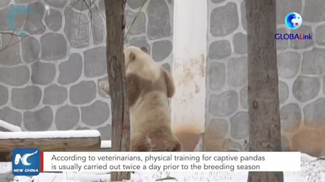 HD порно 180419