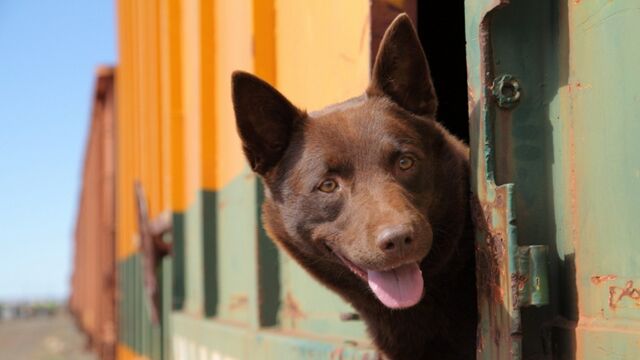 HD порно 113229