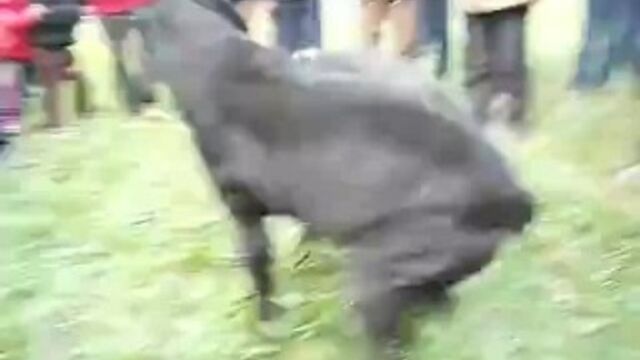 HD порно 153971