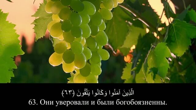 HD порно 124482