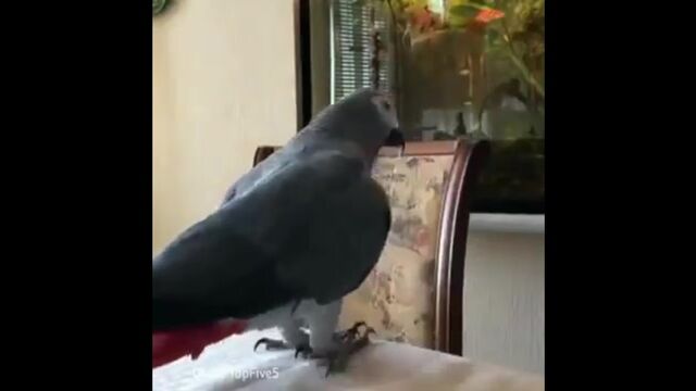 HD порно 157034