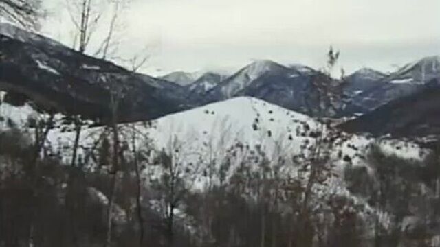 HD порно 252657