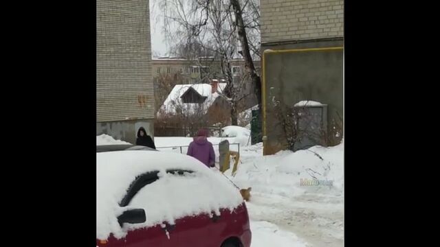 HD порно 163815