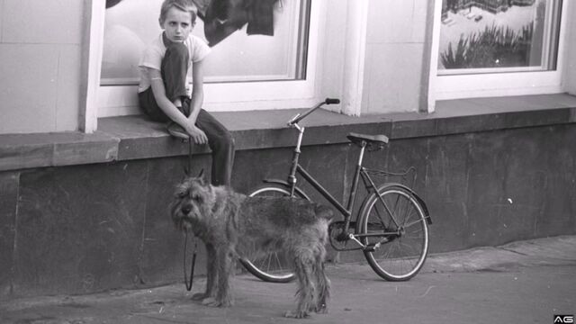 HD порно 144174