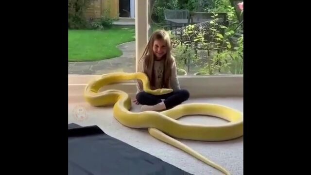 HD порно 136691