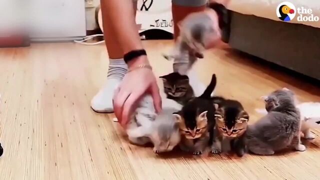 HD порно 155816