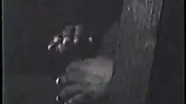 HD порно 181158