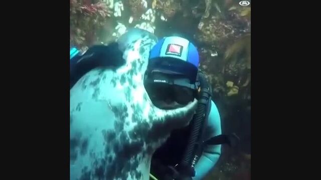 HD порно 156009