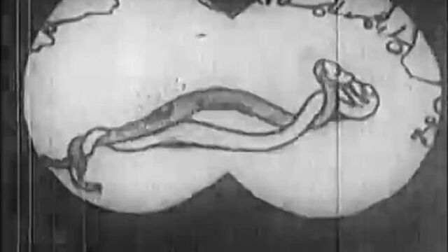 HD порно 227801