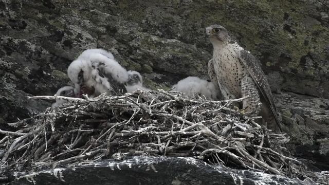 HD порно 122623