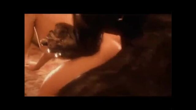 HD порно 155394