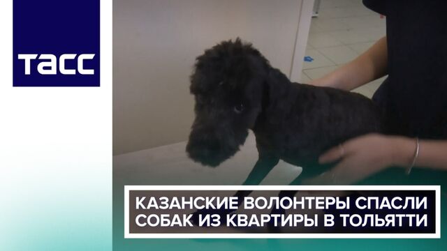 HD порно 136653