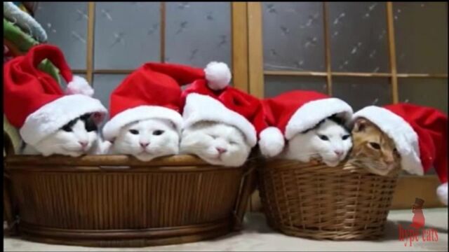 HD порно 156881