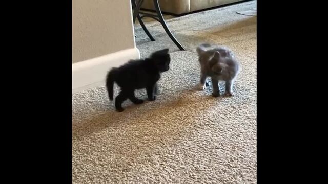 HD порно 111959