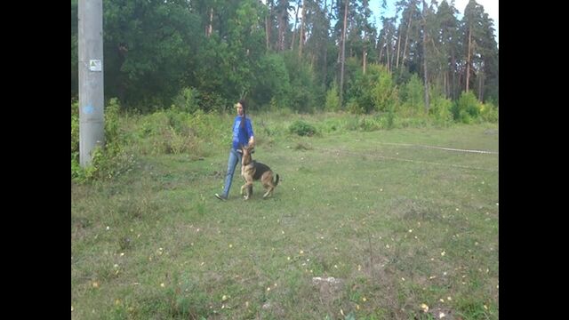 HD порно 123037