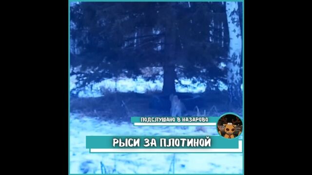 HD порно 147598