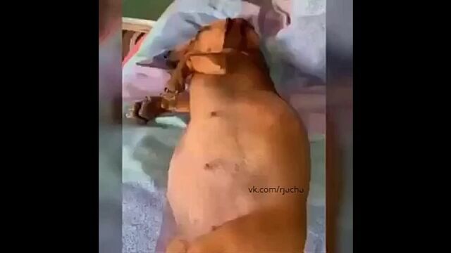 HD порно 111509