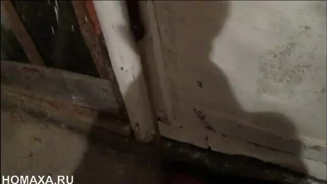 HD порно 186356