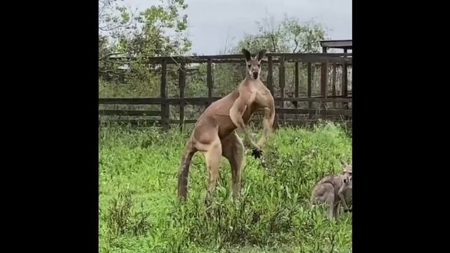 HD порно 172796