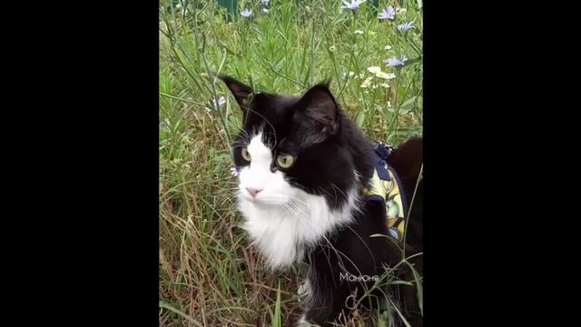 HD порно 117383