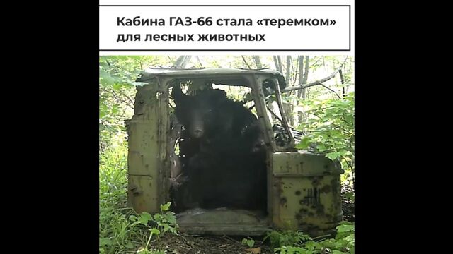 HD порно 120604