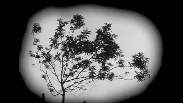 HD порно 159047