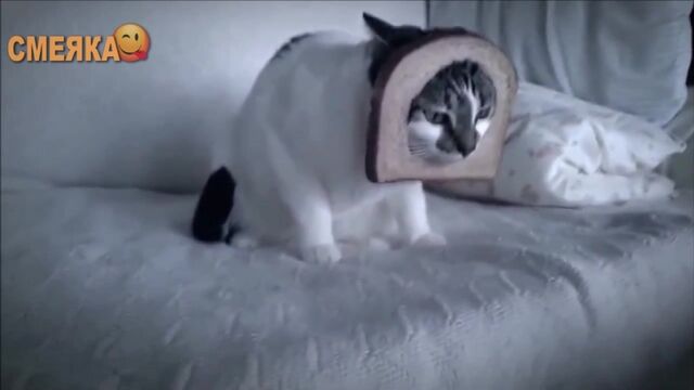 HD порно 124015