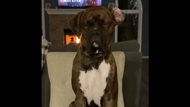 HD порно 187830