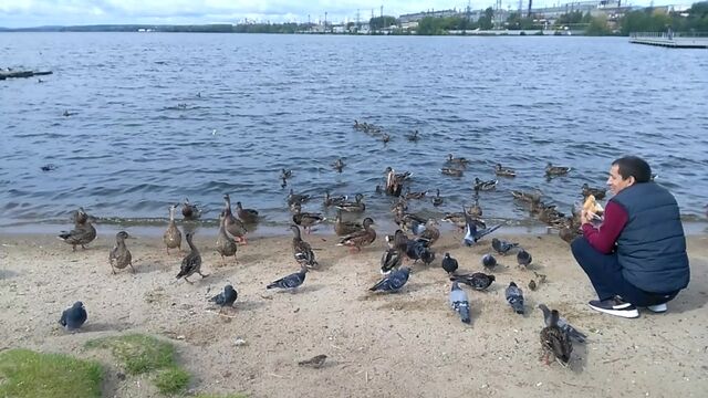 HD порно 169993