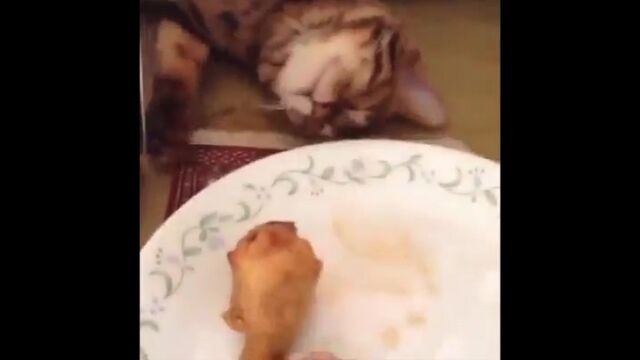 HD порно 170873