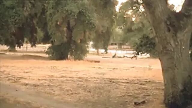 HD порно 162937