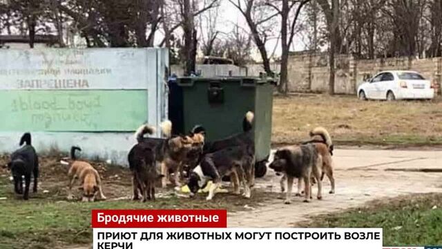 HD порно 190874