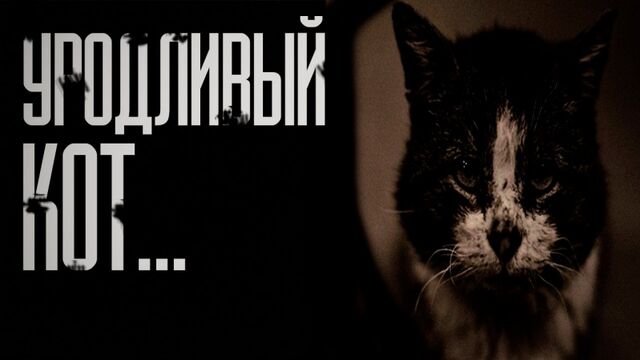 HD порно 123784