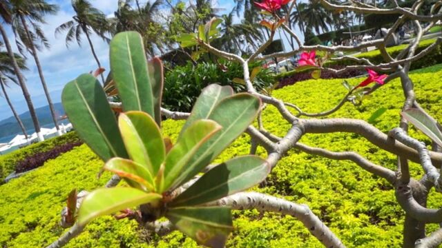 HD порно 191448