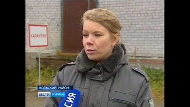 HD порно 190401