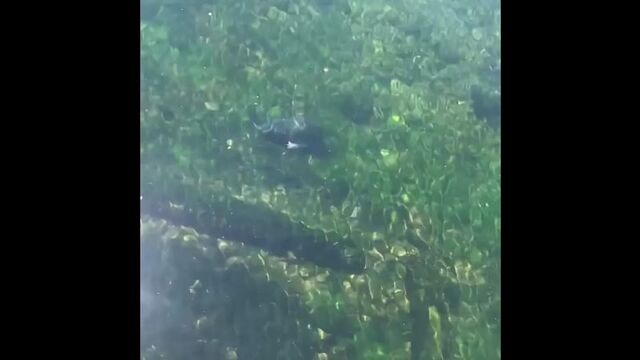 HD порно 153336