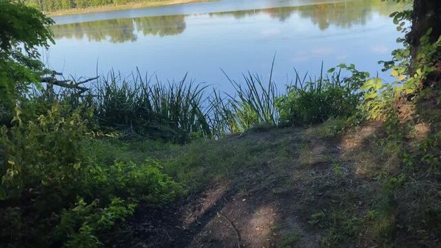 HD порно 250484